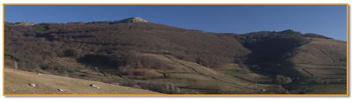 Panorama culmii Canicei vazuta din drumul forestier