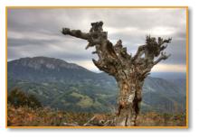 Piatra Closanilor ne incanta privirile pe tot parcursul crestei nordice a Mehedintilor