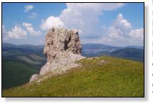 Simplu joc al naturii?